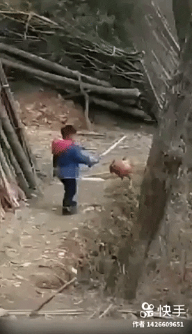 Wrong move kiddo in funny gifs