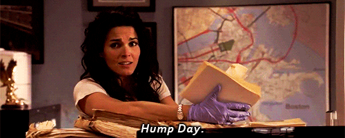 Interesting moment rizzoli and isles sexy opinion Remarkable topic rizzoli and isles sexy you
