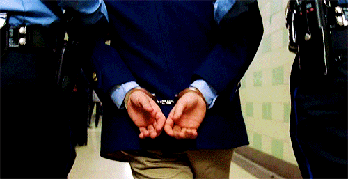 wes anderson police arrest blazer handcuffs