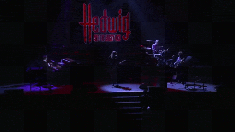 Hedwig And The Angry Inch GIF by Obie Awards - Find & Share on GIPHY