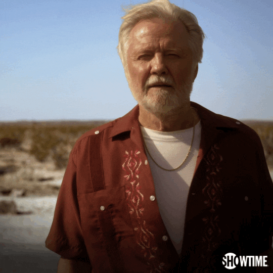 Season 2 Showtime GIF by Ray Donovan