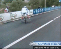 giphy.gif