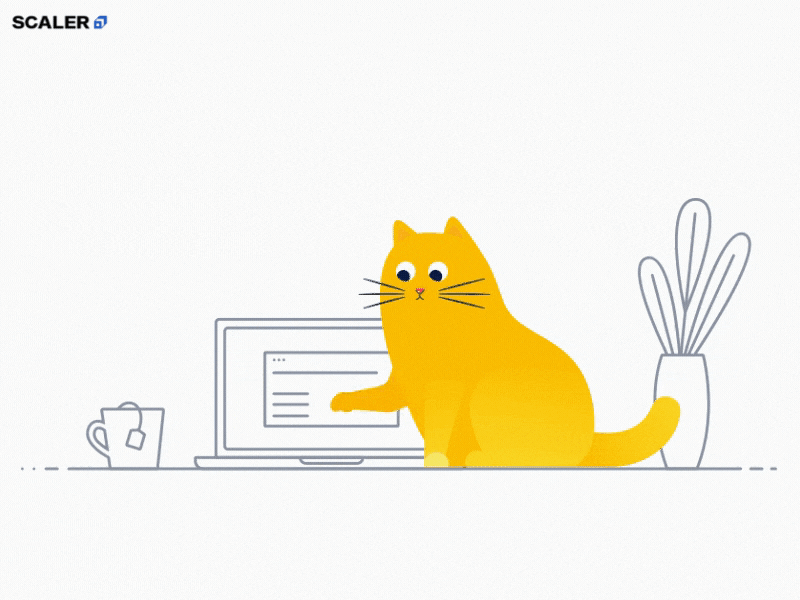 a cat tapping a laptop
