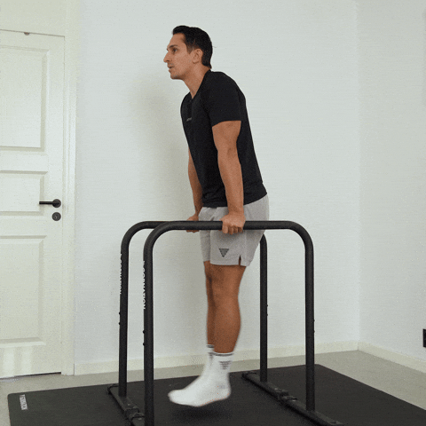 dip bar leg raises exercise demonstration