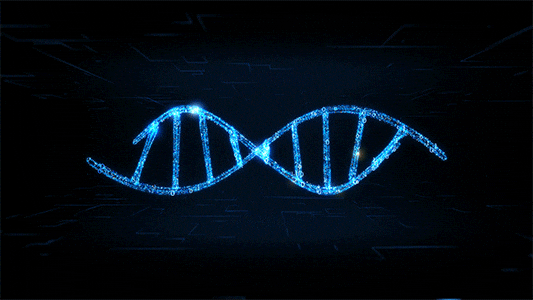 DNA Double Helix