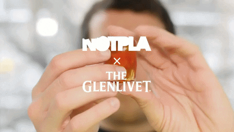 notpla6