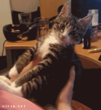 Unrequited Love Do Not Want GIF - Find & Share on GIPHY