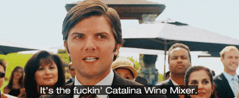 Catalina-Wine-Mixer GIFs - Find & Share on GIPHY
