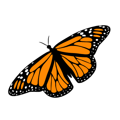 Butterfly Sticker for iOS & Android  GIPHY