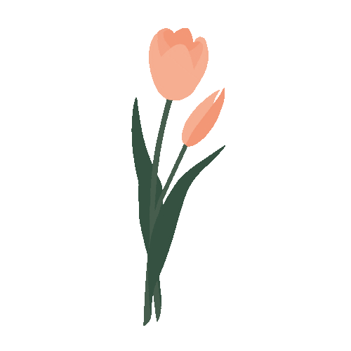 Flower Tulip Sticker for iOS & Android GIPHY