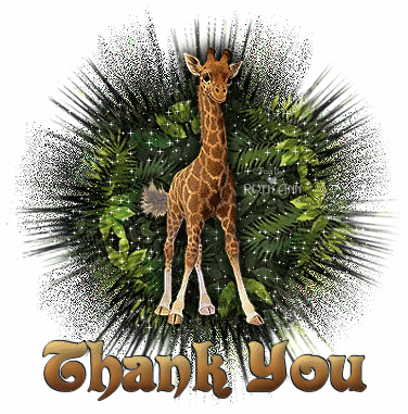 Image result for thank you giraffe pics