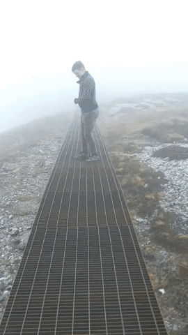 Its too windy in funny gifs