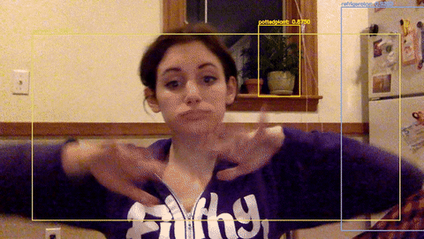 video detection alt text