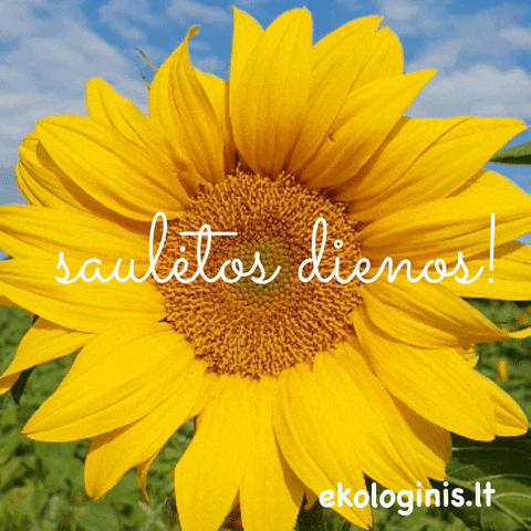 Ekologinis.lt GIF