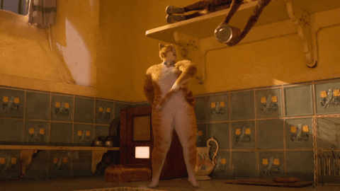 Cat Meow GIF by Cats Movie - Find & Share on GIPHY