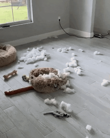 Taking pride in creating mess in funny gifs