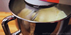 None Animated Gif on Giphy