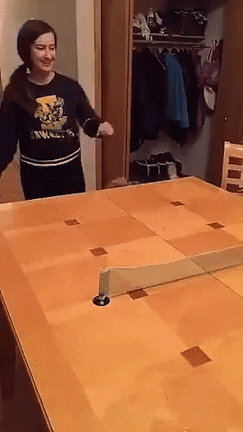 Playing ping pong in dog gifs