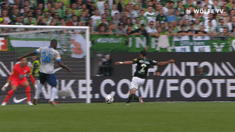 Football Save GIF by VfL Wolfsburg
