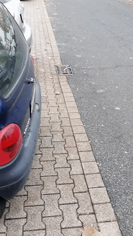 Peeing car in funny gifs