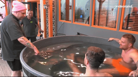 giphy.gif