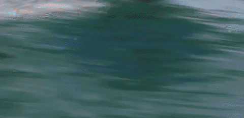 Forget You Remember Love GIF