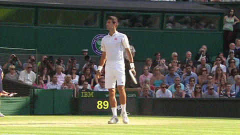 Celebration Winning GIF - Find & Share on GIPHY