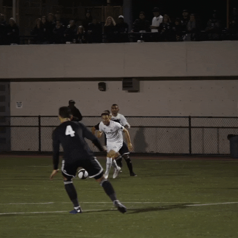 Oakland Roots SC GIF