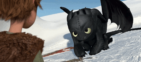 how to train your dragon & dungeons and dragons Giphy