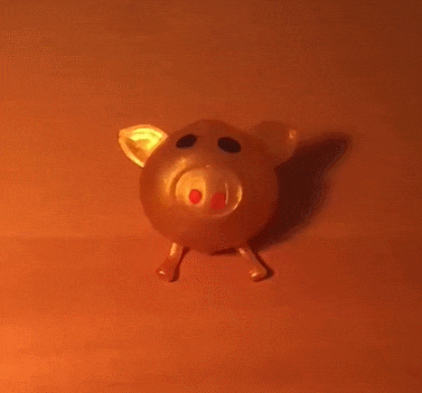 Image result for pig splat toy gif