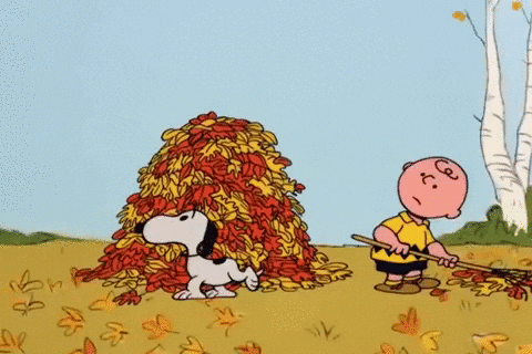 36 Reasons You Have A Love Affair With Fall Every Year
