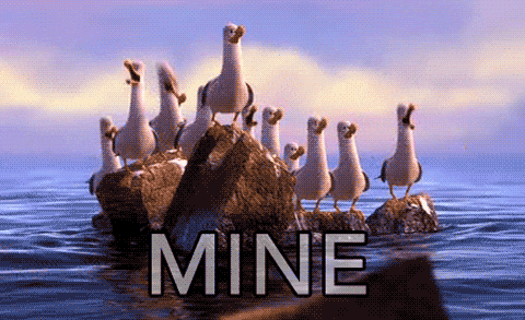 Finding Nemo Seagulls GIFs Find Share On GIPHY Finding Nemo Seagulls GIFs Find Share On GIPHY
