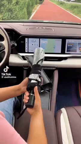 Demostraci&oacute;n del parasol paraguas para auto