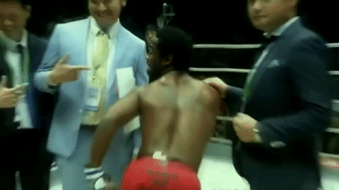 giphy.gif