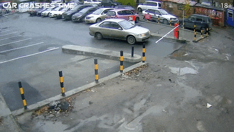 giphy-downsized-large.gif