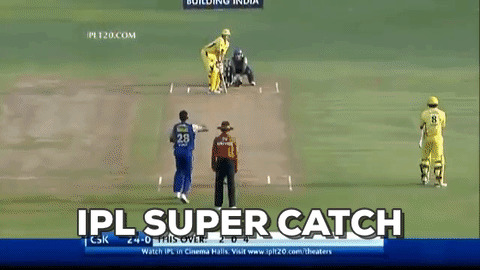 IPL Super cAtch