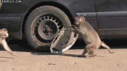 source: imgur.com