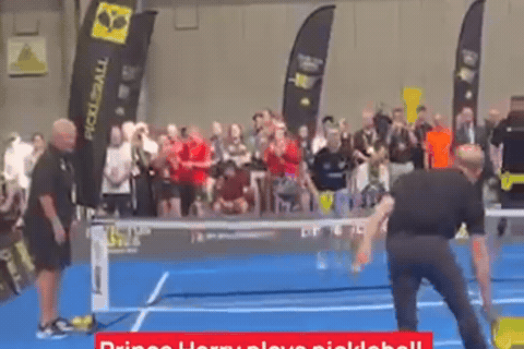 TOCO67 Pickleball GIF kZvOQI71TGkEhKzLWq