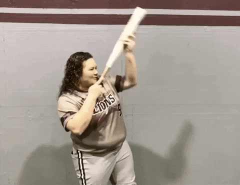 FHUsoftball GIF