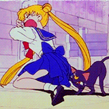 Sailor Moon No GIF - Find & Share on GIPHY