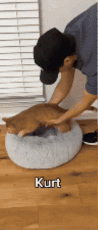 ZenPaw Calming Collar