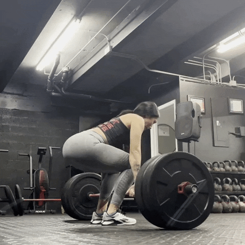 Progressive overload: mechanical tension above current adaptation is the only stimulus the muscle actually answers to. The variables around it matter much less than the marketing suggests.