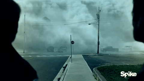 The Mist GIF - Find & Share on GIPHY