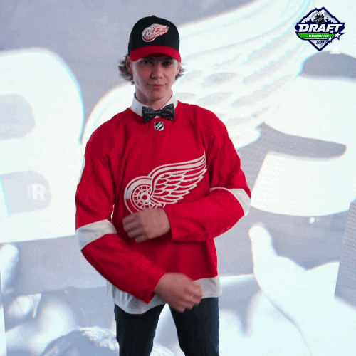 NHL GIF Find & Share on GIPHY