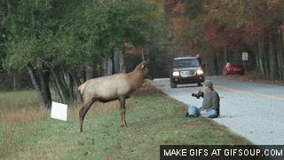 https://media.giphy.com/media/kdKOyAGjcPZfy/giphy.gif