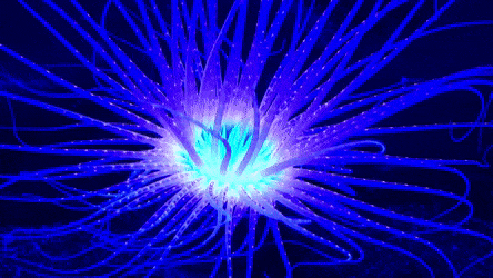 Bioluminescent GIFs - Find & Share on GIPHY