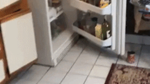 Just checking fridge before closing door