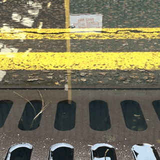 Slow moving GIF showing a storm drain surrounded by a puddle with the water moving very slowly