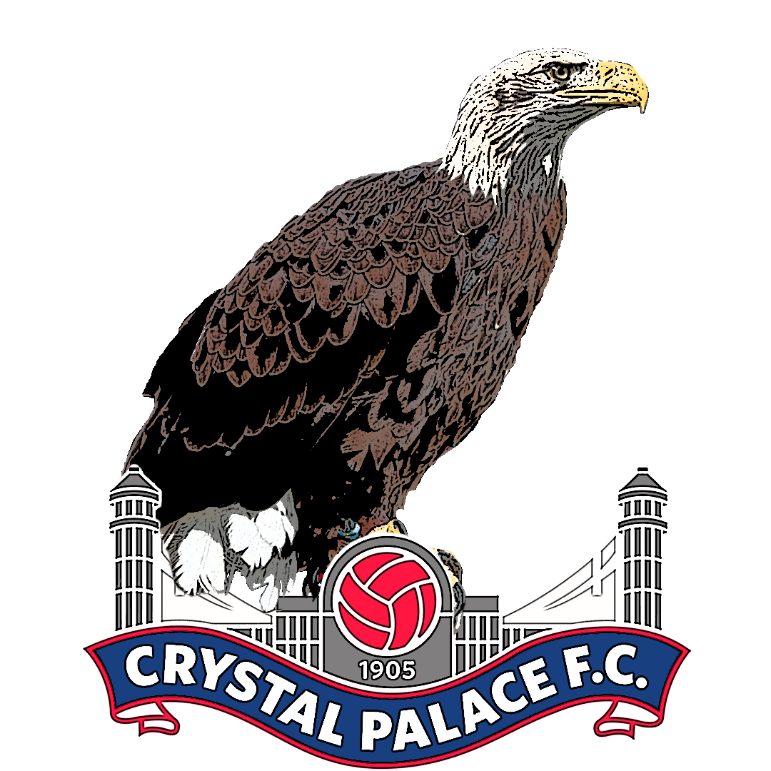 Premier League Sport Sticker by CPFC for iOS & Android GIPHY