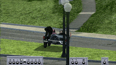 giphy.gif